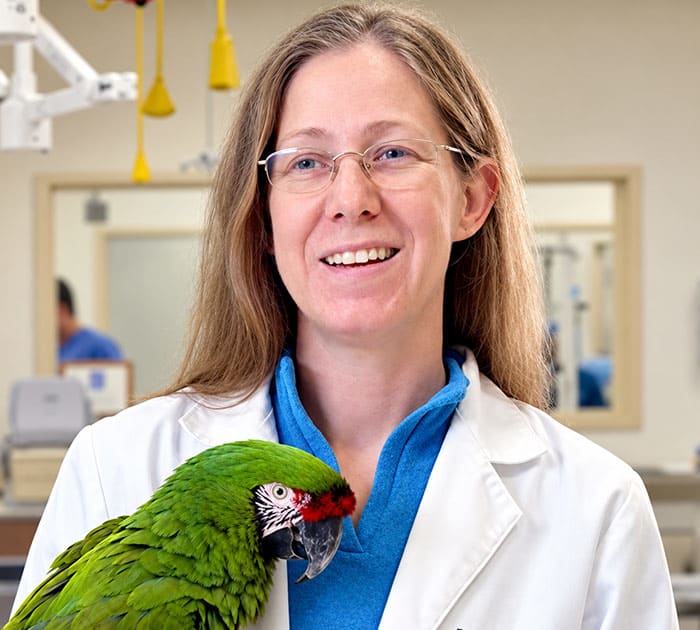 Avian & Exotic Pet Services, Carolina Veterinary Specialists in Huntersville
