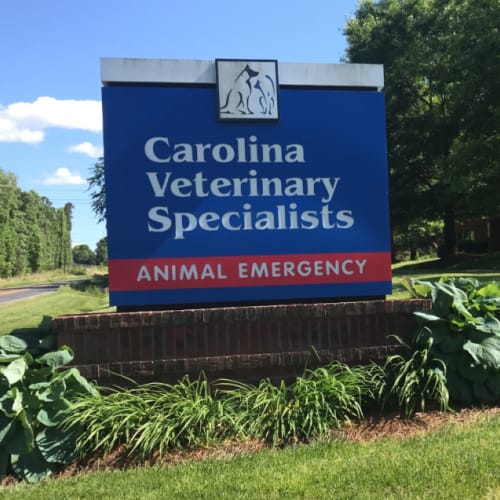 About Us, Carolina Veterinary Specialists in Huntersville