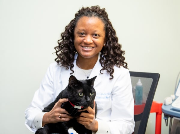 Specialists | Carolina Veterinary Specialists | Huntersville Speciality & Emergency Vet