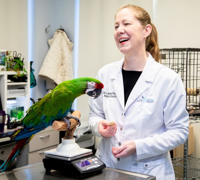 Avian & Exotic Pet Services, Carolina Veterinary Specialists in Huntersville