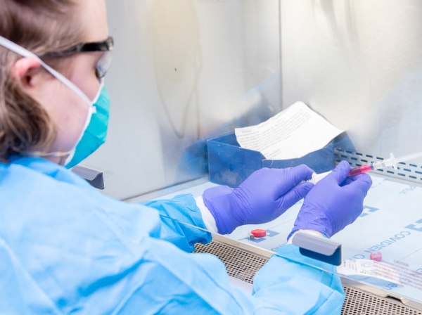 Specialists | Carolina Veterinary Specialists | Huntersville Speciality & Emergency Vet